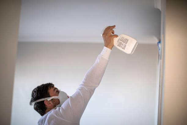 Best Mold Testing  in New Rockford, ND