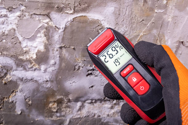 Best Fast Mold Removal  in New Rockford, ND