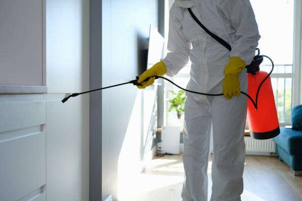 Reliable New Rockford, ND Mold Removal Solutions