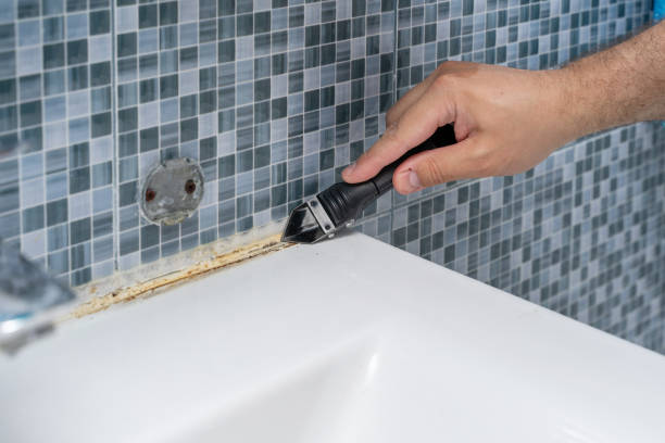 Best Same-Day Mold Removal  in New Rockford, ND